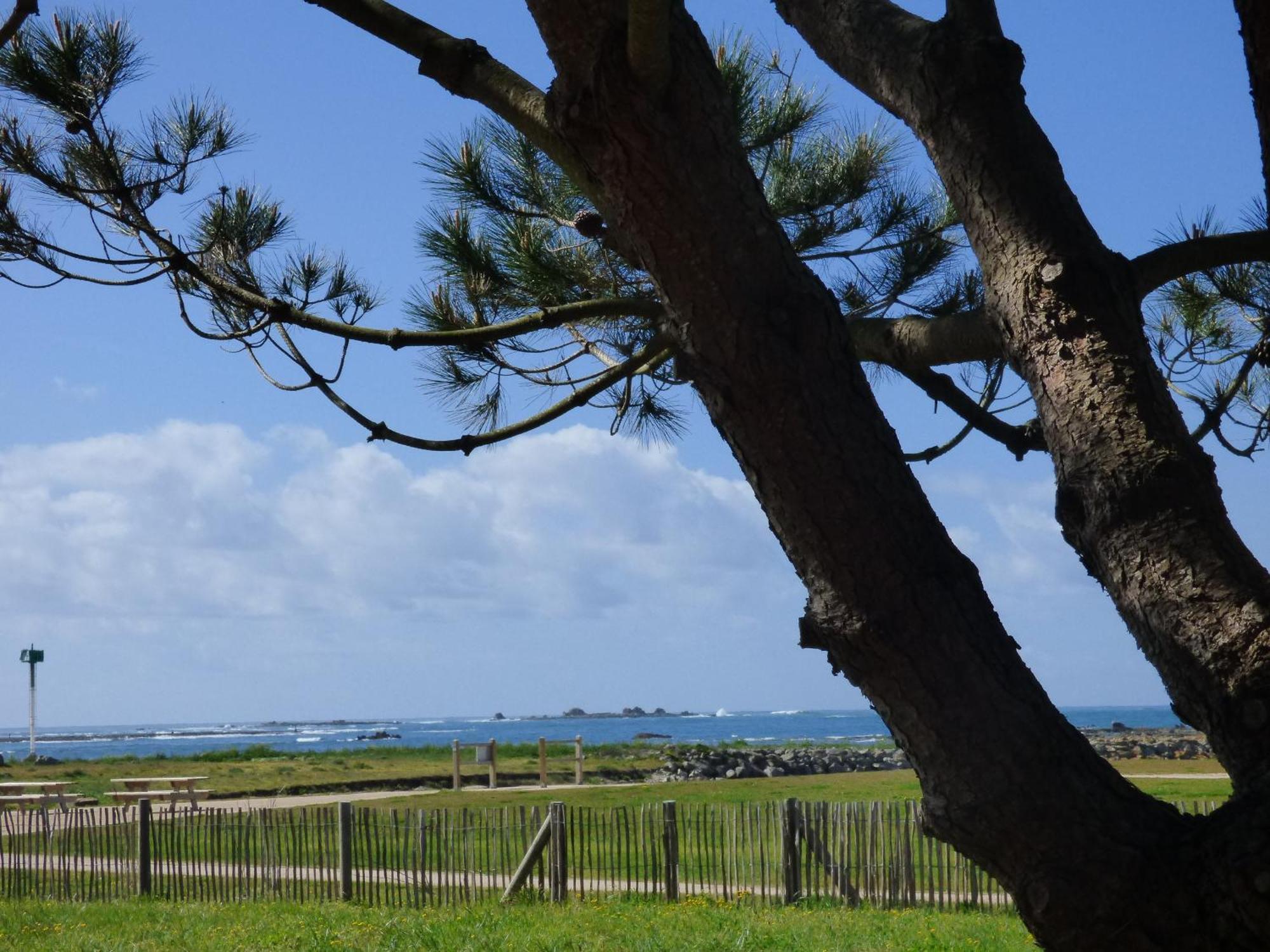 Appart-Studios Vue Mer Panoramique St Guenole Cote Mer Penmarcʼh Rum bild